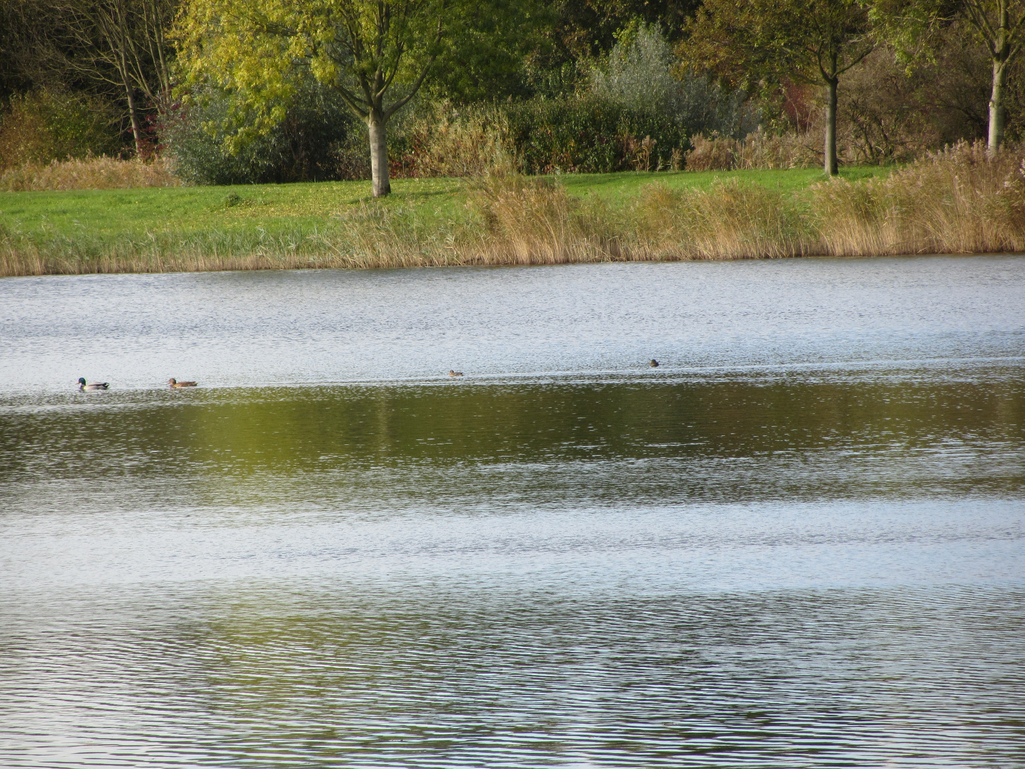 Ipad Marianne 097.JPG